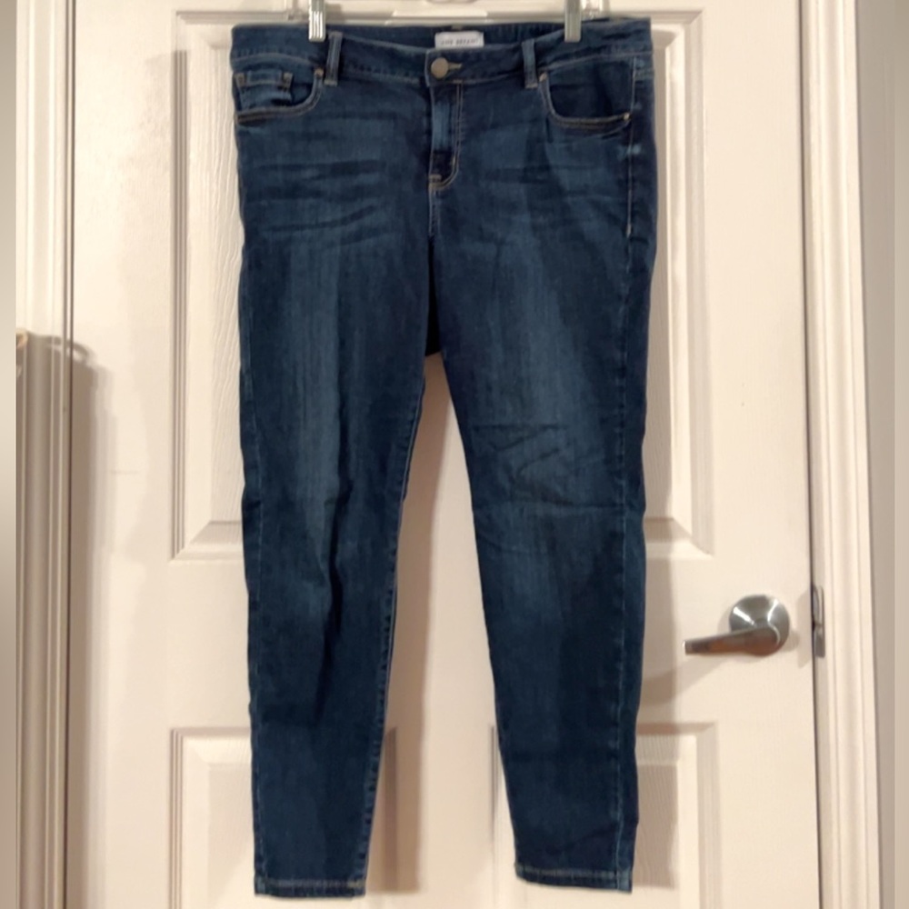 Lane Bryant Signature Fit Skinnies